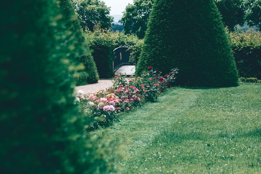 Image d'illustration 17